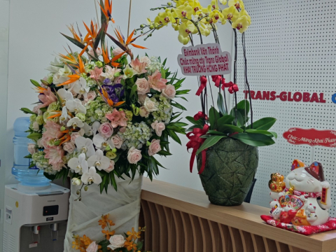 CÔNG TY TRANS-GLOBAL